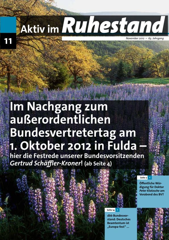 Aktiv im Ruhestand 12/2011 Titelblatt